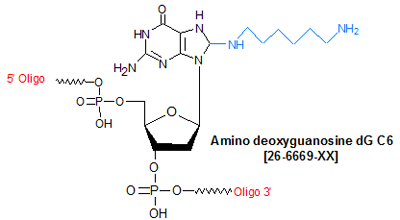 picture of Amino deoxyguanosine dG C6